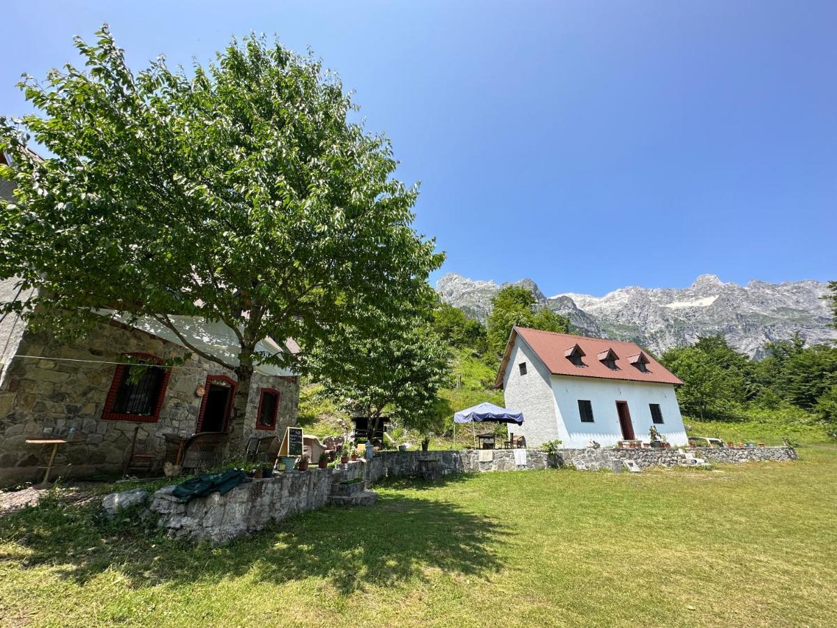 Guesthouse Freskia Тет Екстериор снимка